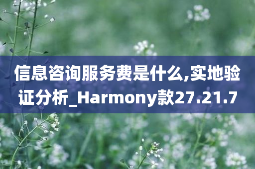 信息咨询服务费是什么,实地验证分析_Harmony款27.21.70