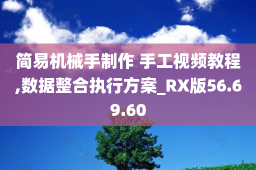 简易机械手制作 手工视频教程,数据整合执行方案_RX版56.69.60