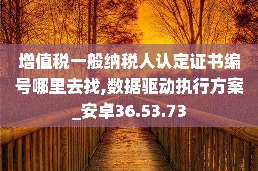 增值税一般纳税人认定证书编号哪里去找,数据驱动执行方案_安卓36.53.73