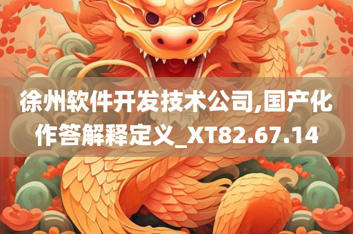 徐州软件开发技术公司,国产化作答解释定义_XT82.67.14