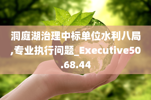 洞庭湖治理中标单位水利八局,专业执行问题_Executive50.68.44