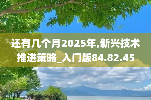 还有几个月2025年,新兴技术推进策略_入门版84.82.45