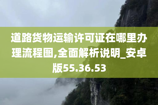 道路货物运输许可证在哪里办理流程图,全面解析说明_安卓版55.36.53