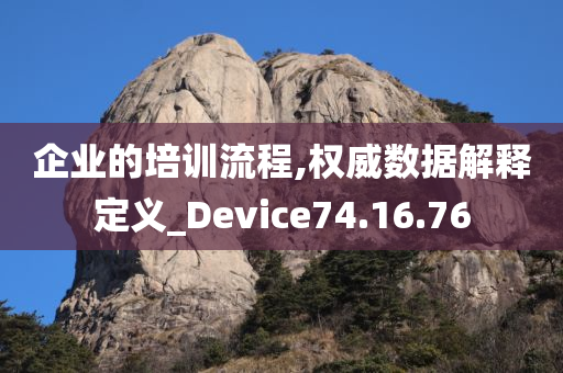 企业的培训流程,权威数据解释定义_Device74.16.76