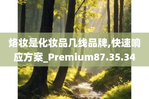 烙妆是化妆品几线品牌,快速响应方案_Premium87.35.34