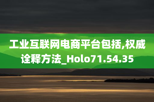 工业互联网电商平台包括,权威诠释方法_Holo71.54.35