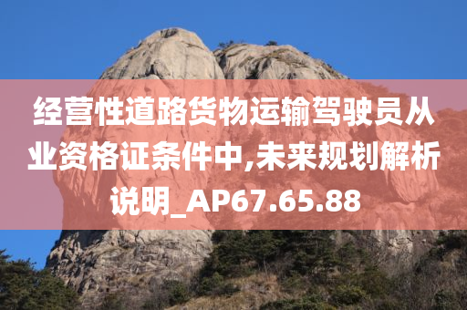 经营性道路货物运输驾驶员从业资格证条件中,未来规划解析说明_AP67.65.88