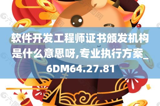 软件开发工程师证书颁发机构是什么意思呀,专业执行方案_6DM64.27.81