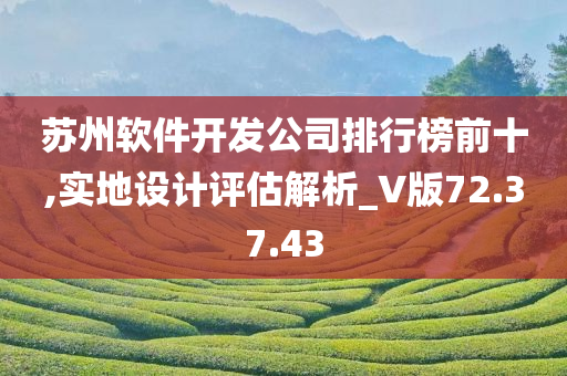 苏州软件开发公司排行榜前十,实地设计评估解析_V版72.37.43