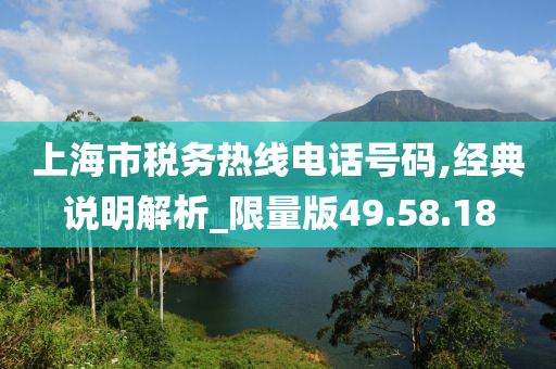 上海市税务热线电话号码,经典说明解析_限量版49.58.18