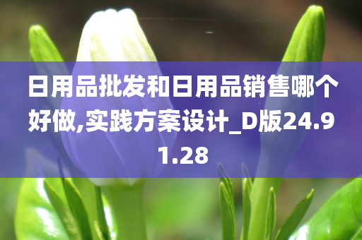 日用品批发和日用品销售哪个好做,实践方案设计_D版24.91.28