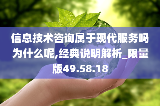 信息技术咨询属于现代服务吗为什么呢,经典说明解析_限量版49.58.18