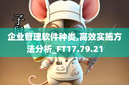 企业管理软件种类,高效实施方法分析_FT17.79.21