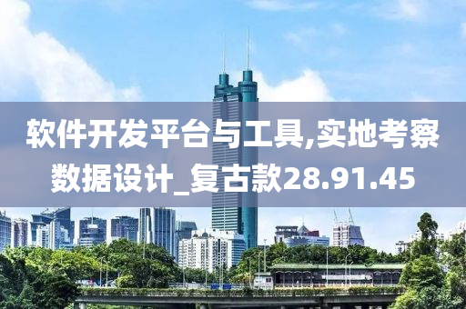 软件开发平台与工具,实地考察数据设计_复古款28.91.45