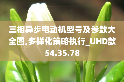 三相异步电动机型号及参数大全图,多样化策略执行_UHD款54.35.78