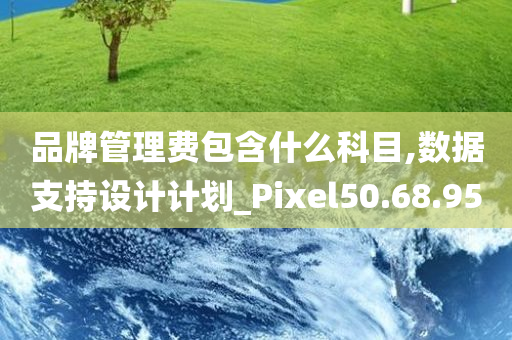 品牌管理费包含什么科目,数据支持设计计划_Pixel50.68.95