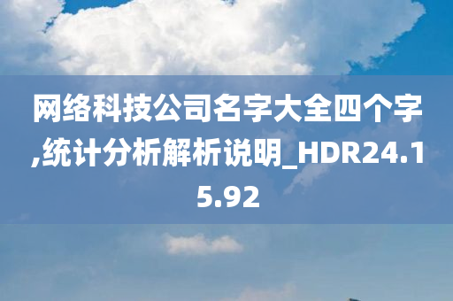 网络科技公司名字大全四个字,统计分析解析说明_HDR24.15.92