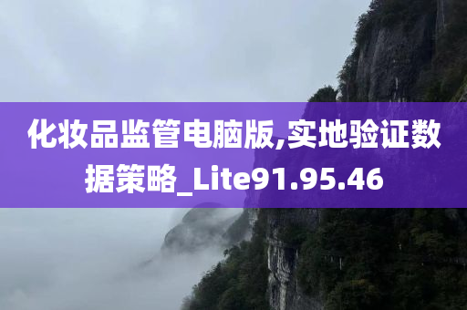 化妆品监管电脑版,实地验证数据策略_Lite91.95.46