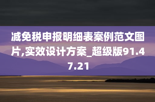 减免税申报明细表案例范文图片,实效设计方案_超级版91.47.21