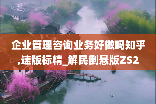 企业管理咨询业务好做吗知乎,速版标精_解民倒悬版ZS2