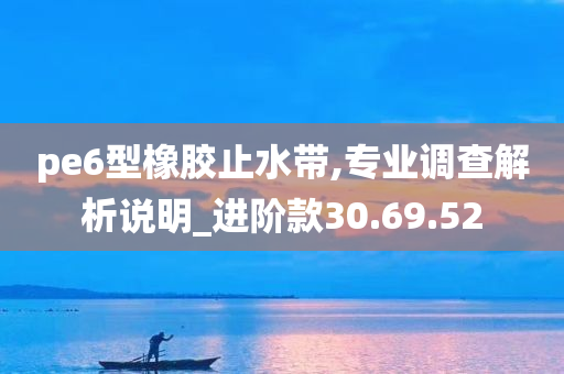 pe6型橡胶止水带,专业调查解析说明_进阶款30.69.52