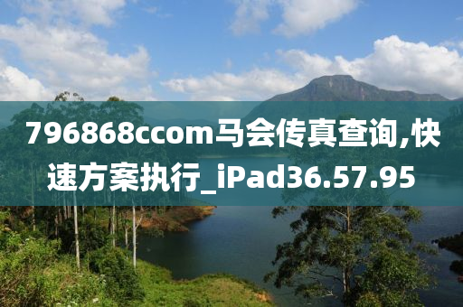 796868cсоm马会传真查询,快速方案执行_iPad36.57.95