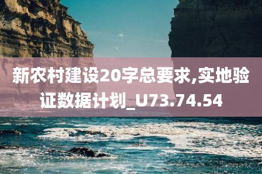 新农村建设20字总要求,实地验证数据计划_U73.74.54