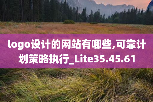 logo设计的网站有哪些,可靠计划策略执行_Lite35.45.61