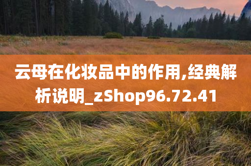 云母在化妆品中的作用,经典解析说明_zShop96.72.41