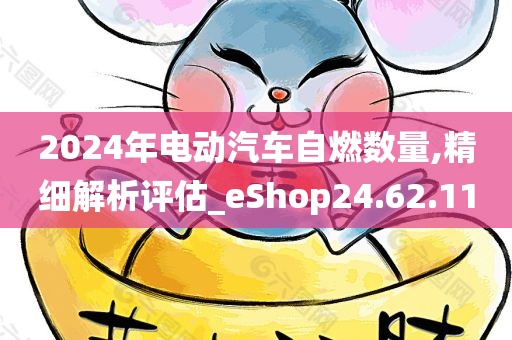 2024年电动汽车自燃数量,精细解析评估_eShop24.62.11