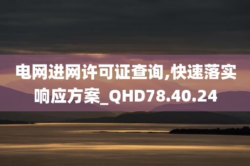 电网进网许可证查询,快速落实响应方案_QHD78.40.24