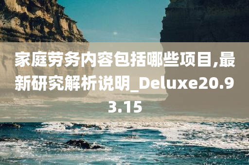 家庭劳务内容包括哪些项目,最新研究解析说明_Deluxe20.93.15