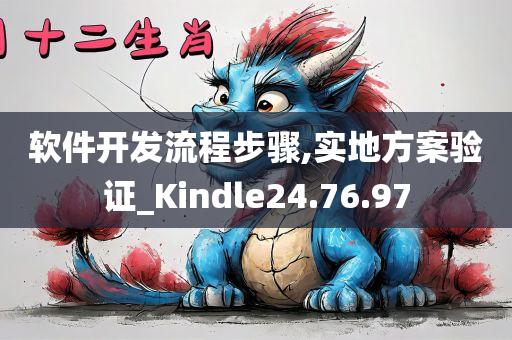 软件开发流程步骤,实地方案验证_Kindle24.76.97