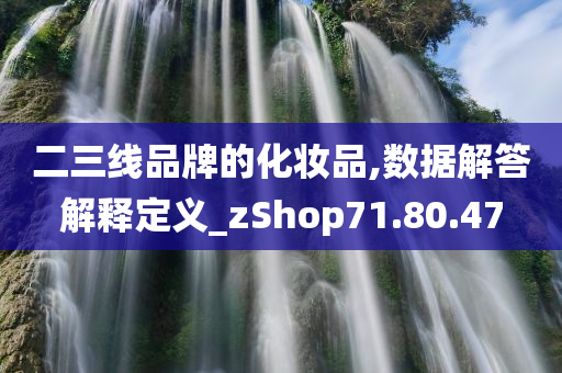 二三线品牌的化妆品,数据解答解释定义_zShop71.80.47