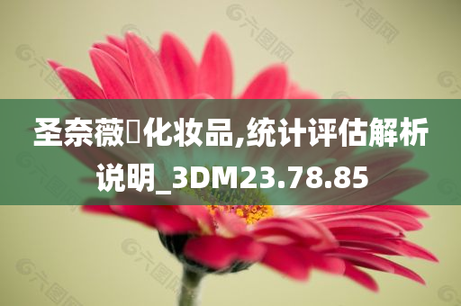 圣奈薇爾化妆品,统计评估解析说明_3DM23.78.85