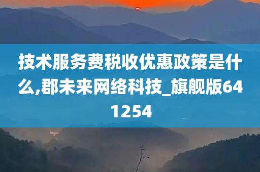 技术服务费税收优惠政策是什么,郡未来网络科技_旗舰版641254