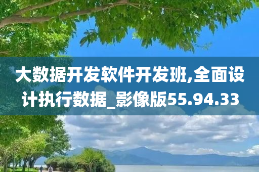 大数据开发软件开发班,全面设计执行数据_影像版55.94.33