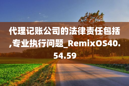 代理记账公司的法律责任包括,专业执行问题_RemixOS40.54.59