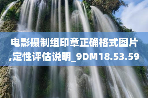 电影摄制组印章正确格式图片,定性评估说明_9DM18.53.59