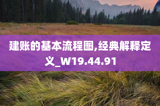 建账的基本流程图,经典解释定义_W19.44.91