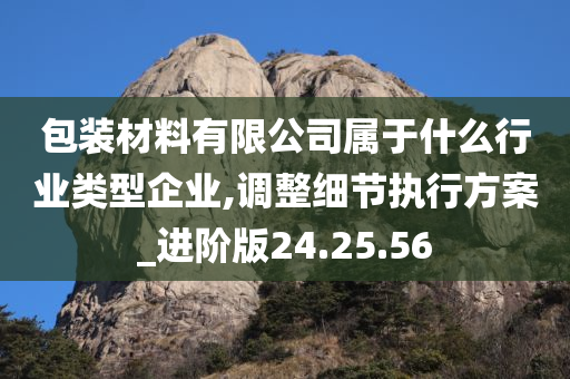 包装材料有限公司属于什么行业类型企业,调整细节执行方案_进阶版24.25.56