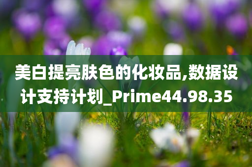 美白提亮肤色的化妆品,数据设计支持计划_Prime44.98.35