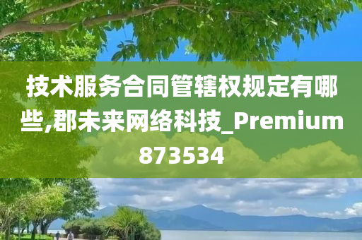 技术服务合同管辖权规定有哪些,郡未来网络科技_Premium873534