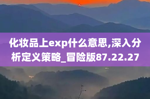 化妆品上exp什么意思,深入分析定义策略_冒险版87.22.27