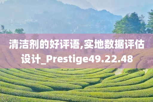 清洁剂的好评语,实地数据评估设计_Prestige49.22.48