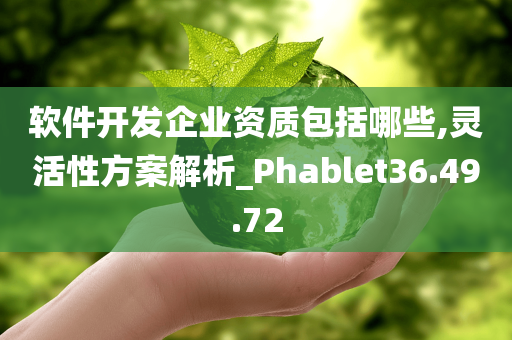 软件开发企业资质包括哪些,灵活性方案解析_Phablet36.49.72