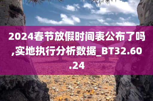 2024春节放假时间表公布了吗,实地执行分析数据_BT32.60.24