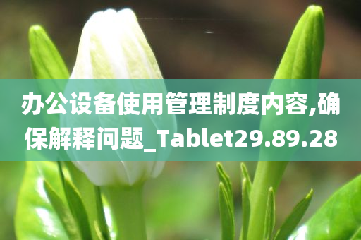 办公设备使用管理制度内容,确保解释问题_Tablet29.89.28