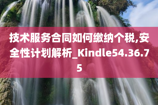 技术服务合同如何缴纳个税,安全性计划解析_Kindle54.36.75