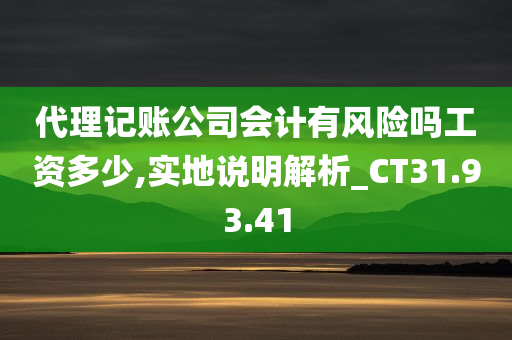 代理记账公司会计有风险吗工资多少,实地说明解析_CT31.93.41